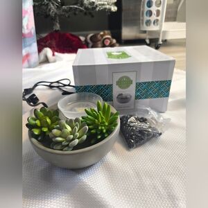 💜Scentsy Little Garden Succulent Warmer